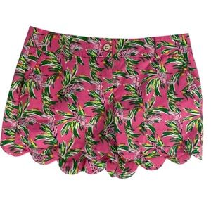 Stunning Hot Pink Tropical Crown & Ivy Shelby Scalloped Hem Shorts Size 16 NWT